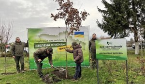 ПІКАПИ ДЛЯ ЛІСНИКІВ ТА МУЛЬТИКИ ЗА 5 МІЛЬЙОНІВ. КУДИ ЙДУТЬ “ЛІСОВІ ГРОШІ”?