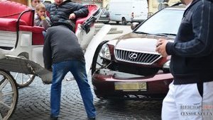 "Марсианин" Онищенко и ДТП века во Львове. Дайджест за неделю в курьезах, анекдотах и жабах