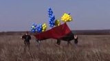 Волонтери запустили в бік окупованої Горлівки "український привіт" - червоно-чорний прапор на жовто-блакитних кульках. ВIДЕО