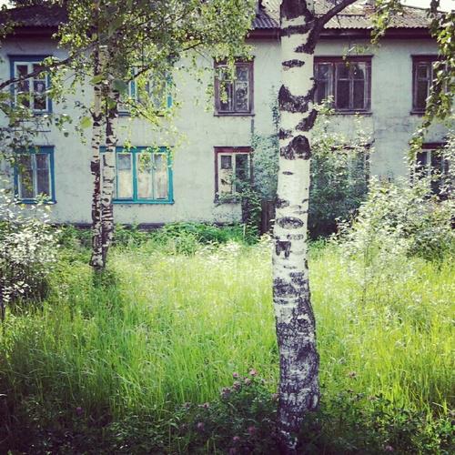 Цензор.НЕТ Изображение