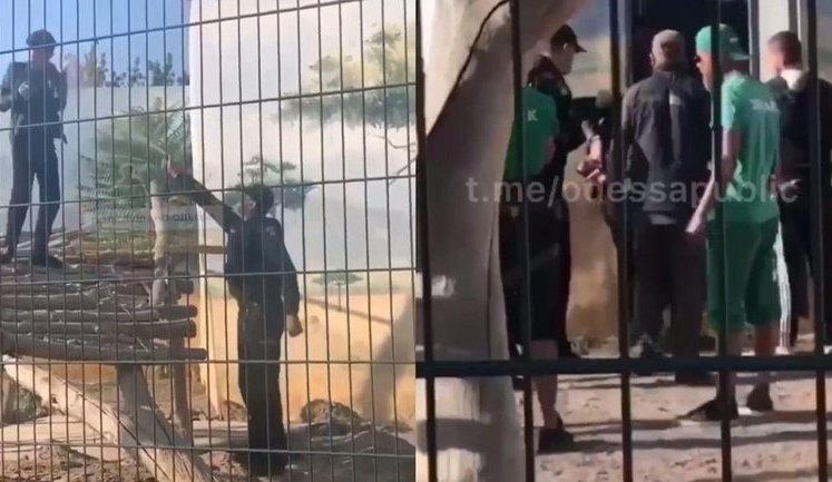 Мужчина залез в вольер со львами в Одессе: хотел сфотографироваться. ВИДЕО