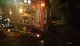 Двоє людей загинуло під час пожежі в п