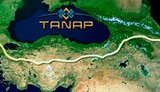 tanap
