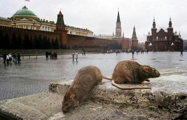 кремль