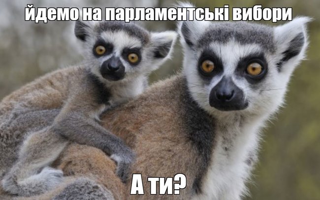 Цензор.НЕТ Изображение
