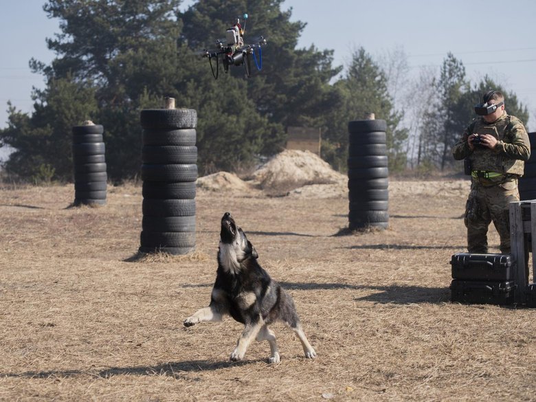 бзвп,навчальний,фото,центр