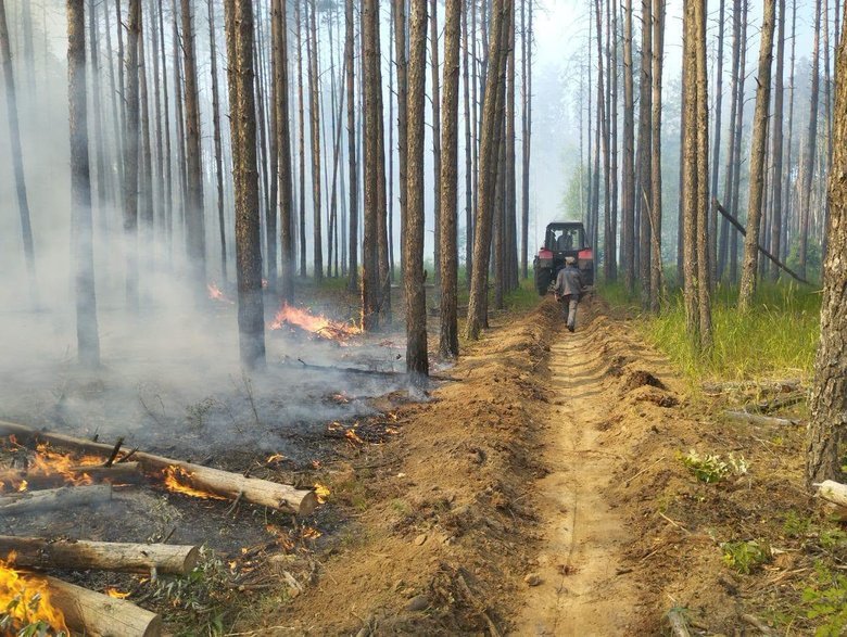 У Чорнобильській зоні зафіксували чотири осередки пожеж. Фахівці запевняють, що радіаційний фон залишається в межах норми.