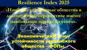 ФОПы – это источник устойчивости украинского общества. Почему попытки ликвидировать ФОПы – это ущерб экономике, политике и безопасности.