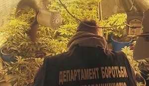 Інтернет-магазин зі збуту наркотиків ліквідовано в Києві: вартість вилученого майже 1 млн грн