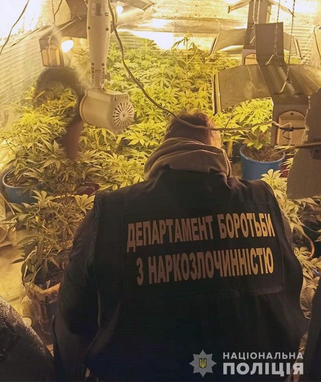 Інтернет-магазин зі збуту наркотиків ліквідовано в Києві: вартість вилученого майже 1 млн грн 02