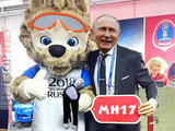 Реклама чемпионата