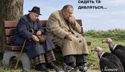 ... бо вони щось знають