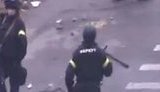 беркут