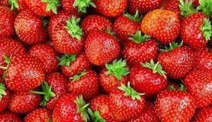 Ціни на першу суницю в Україні сягнули 300 грн за кілограм: причини подорожчання та прогноз