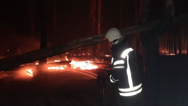 Площадь пожаров на Луганщине превысила 20 тыс. га, еще тушат семь основных очагов, - ГСЧС 04