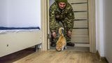 Близько 5 тис. сімей військовослужбовців зможуть отримати житло в 2021 році, - Мінфін
