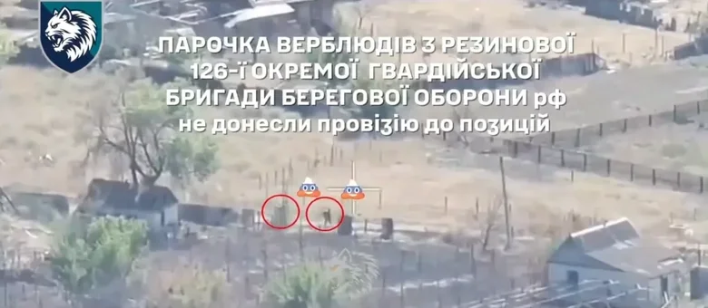 Кто причастен к катастрофе в Олешках?