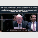 "Мирная политика"