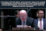 "Мирная политика"