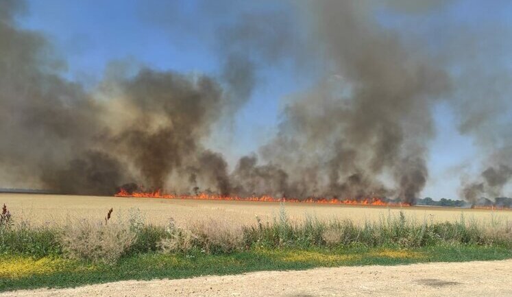 Окупанти цілеспрямовано знищують врожай на Херсонщині, відкрито кримінальні провадження, - поліція. ФОТОрепортаж