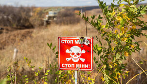 мины,золотое,кпвв