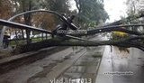 киев дтп