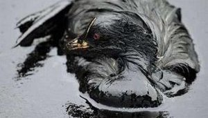 Пятна мазута достигли украинского берега в районе Керчи