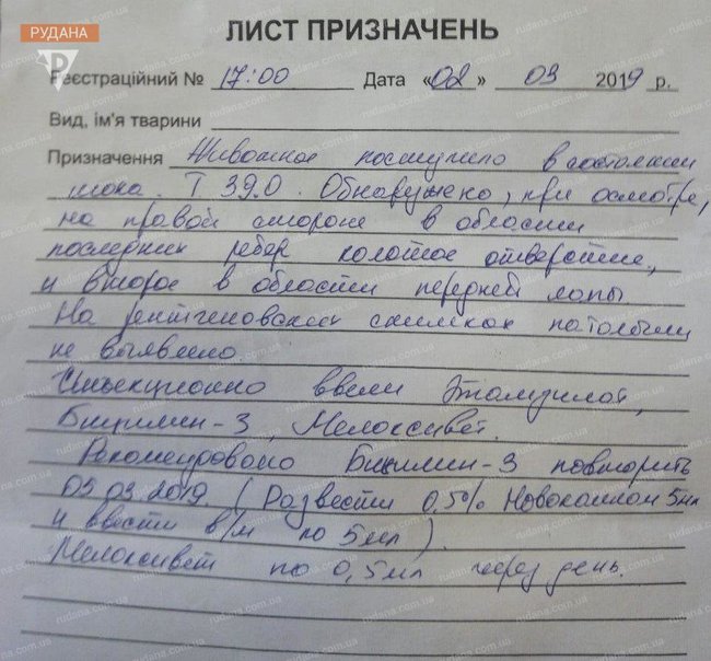 Майор поліції Руденко в Кривому Розі знущався із собаки: насадив на вила і хотів спалити, - зоозахисники 04