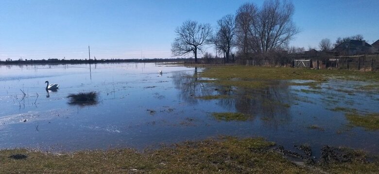Из-за самого большого за 50 лет наводнения пострадали восемь областей Украины 04