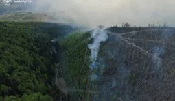 пожежа в карпатах
