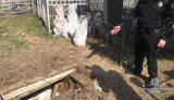 Двое вандалов пытались ограбить могилы расстрелянных нацистами мирных жителей в Винницкой области, - Нацполиция. ФОТОрепортаж
