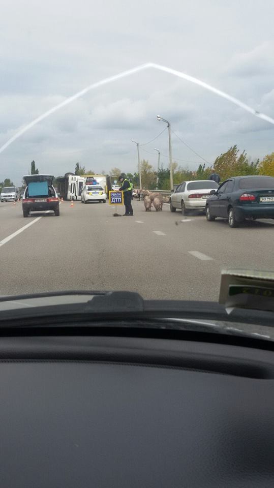 фура