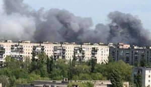 Вогонь охопив близько 5 гектарів лісу під Сєверодонецьком, - ДСНС