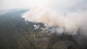 Поліція назвала джерела займання на Луганщині: замикання проводів і розпалене багаття