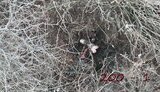ліквідовані