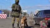нацполиция