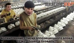 "Новые лица" в оппозиции