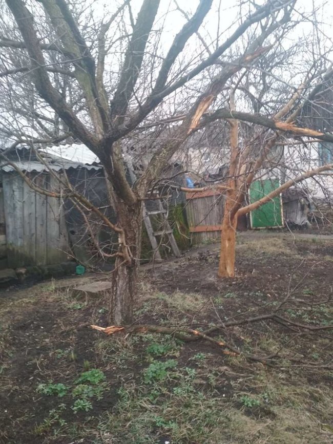 Терористи з гранатометів обстріляли гаражі в Золотому-4, - штаб ООС 02