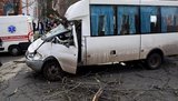 У Миколаєві дерево впало на маршрутку, троє потерпілих, - ДСНС. ФОТО