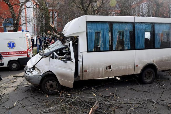 У Миколаєві дерево впало на маршрутку, троє потерпілих, - ДСНС 01