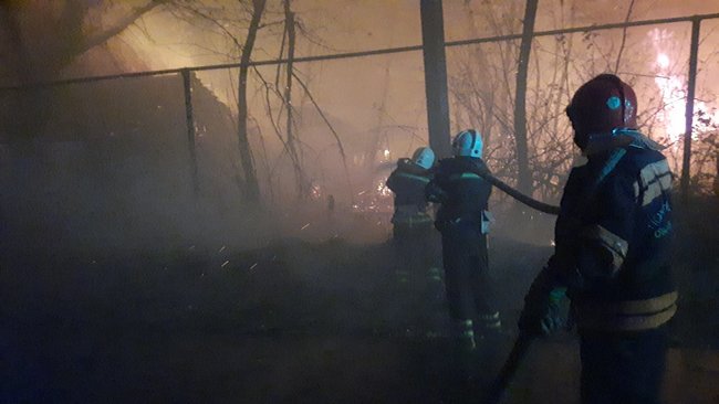 В Луганской области масштабные пожары леса, погибли 4 человека 02