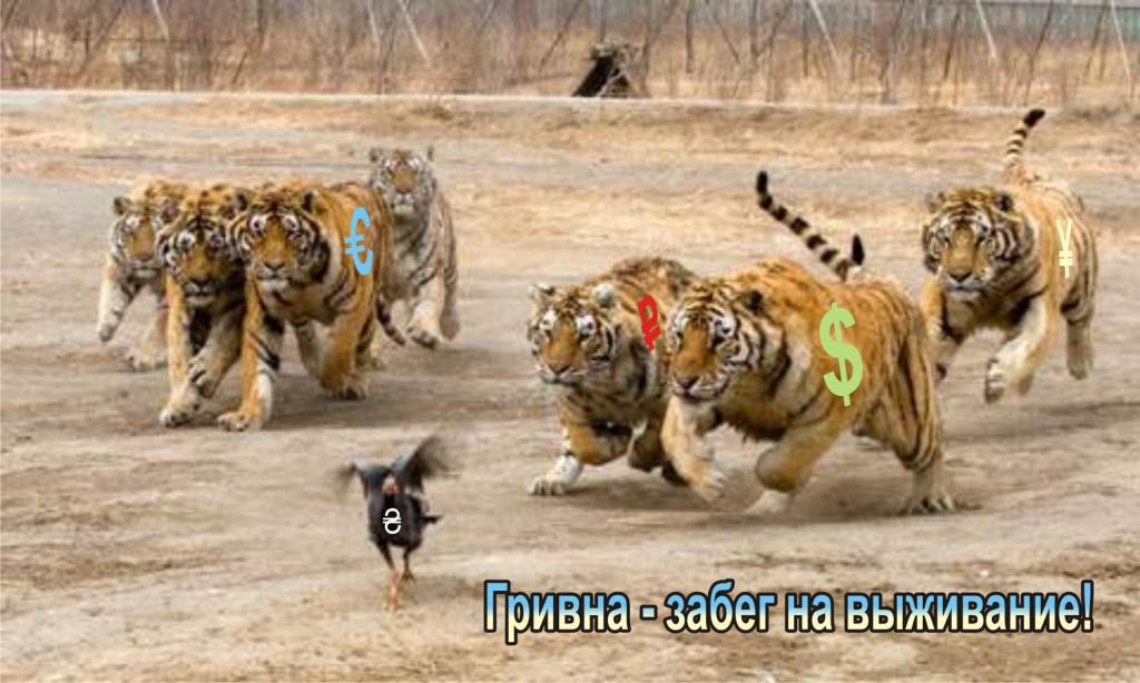 Валютное сафари