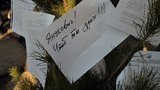 В Донецке украсили елку пожеланиями к Януковичу: "Чтоб ты здох!!!". ФОТО