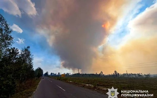 На Рівненщині спалахнула масштабна лісова пожежа: у деяких населених пунктах зникло світло. ФОТОрепортаж