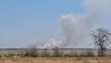 На ТОТ Херсонщини через пожежі в Олешківських пісках постраждали тисячі гектарів території нацпарку