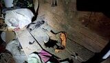 На Рівненщині від вибуху гранати загинула родина переселенців з Луганщини