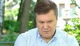 Диаспора: "Призываем украинцев и весь мир к бойкоту режима Януковича"