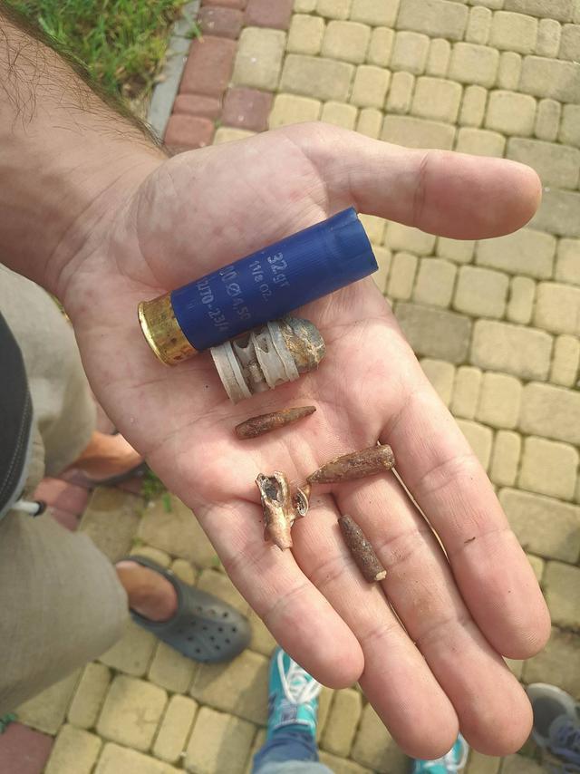 Hunting home of fugitive president Yanukovych: trophy from Lukashenko and guards shooting club 28 Hunting home of fugitive president Yanukovych: trophy from Lukashenko and guards shooting club 28