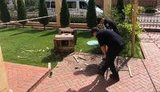 У будинок директора асоціації міжнародних експедиторів України Берестенка кинули бойову гранату. ФОТО