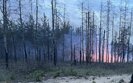 Лісова пожежа біля Лиману